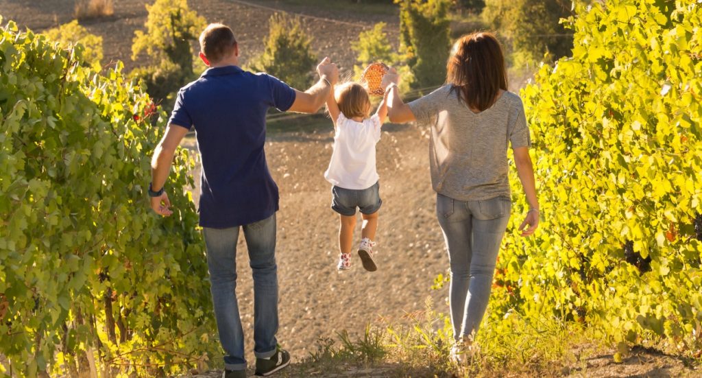 Family Excursion Tips